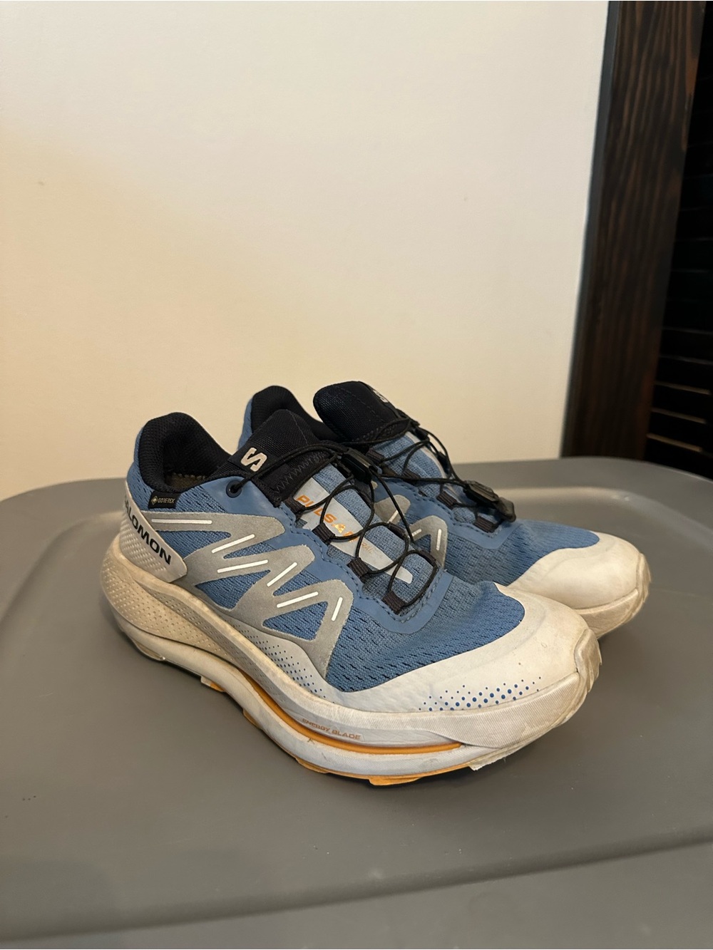 Salomon Blue and White Trail Running Shoes